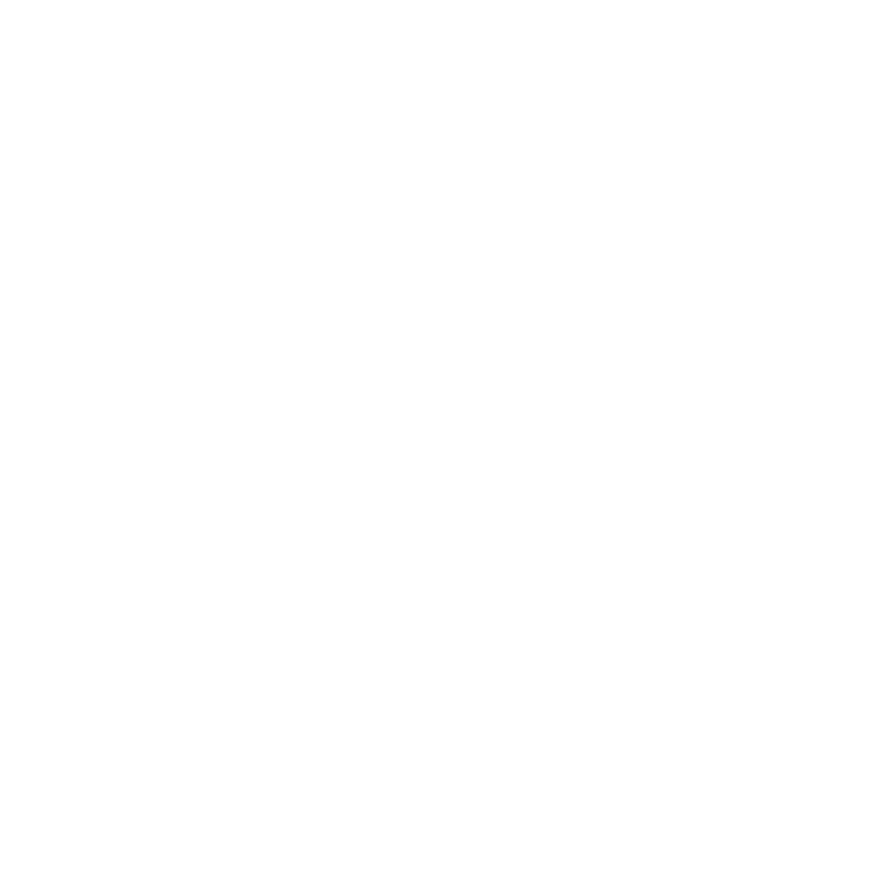 Socials Instagram logo